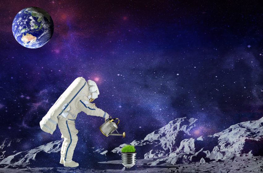  Did you know space is the final frontier – for farming?
