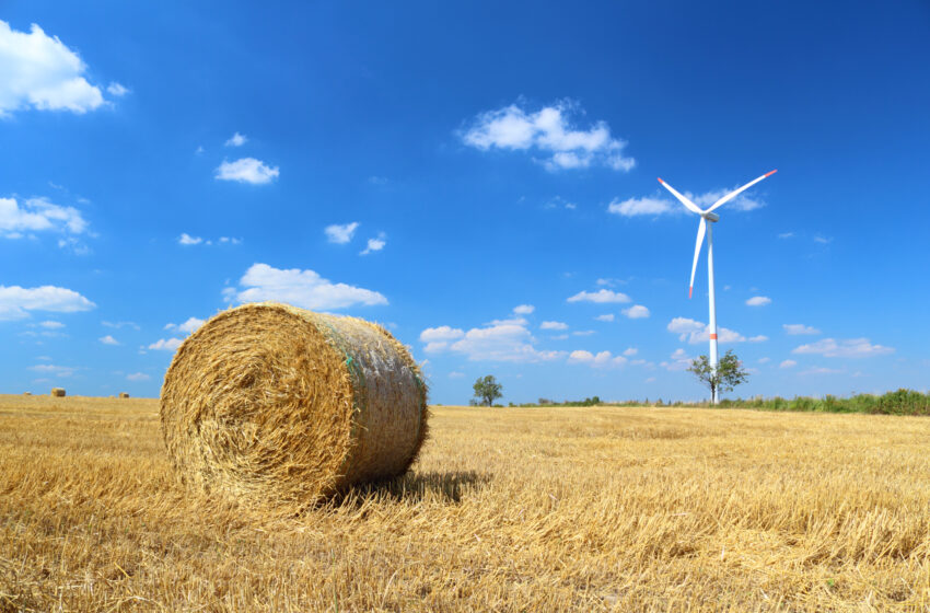  A mighty wind could fuel future growth