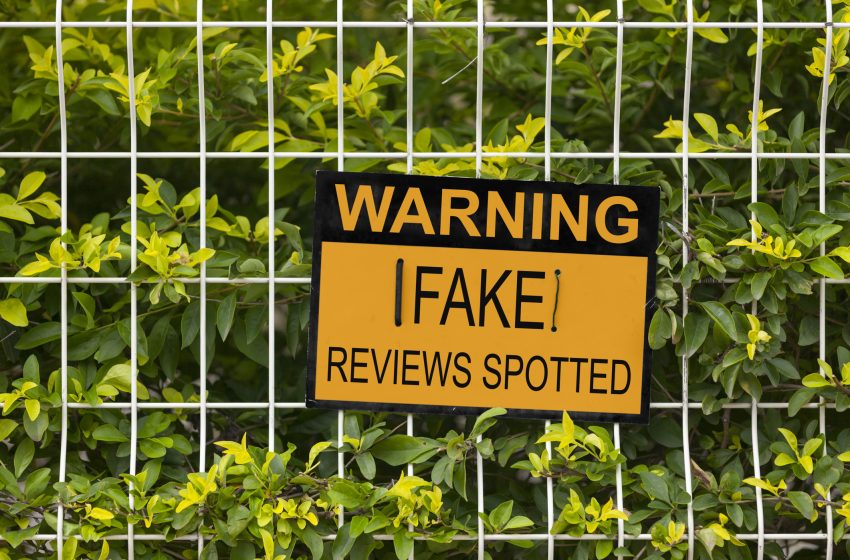  From Fake News to Fake Reviews