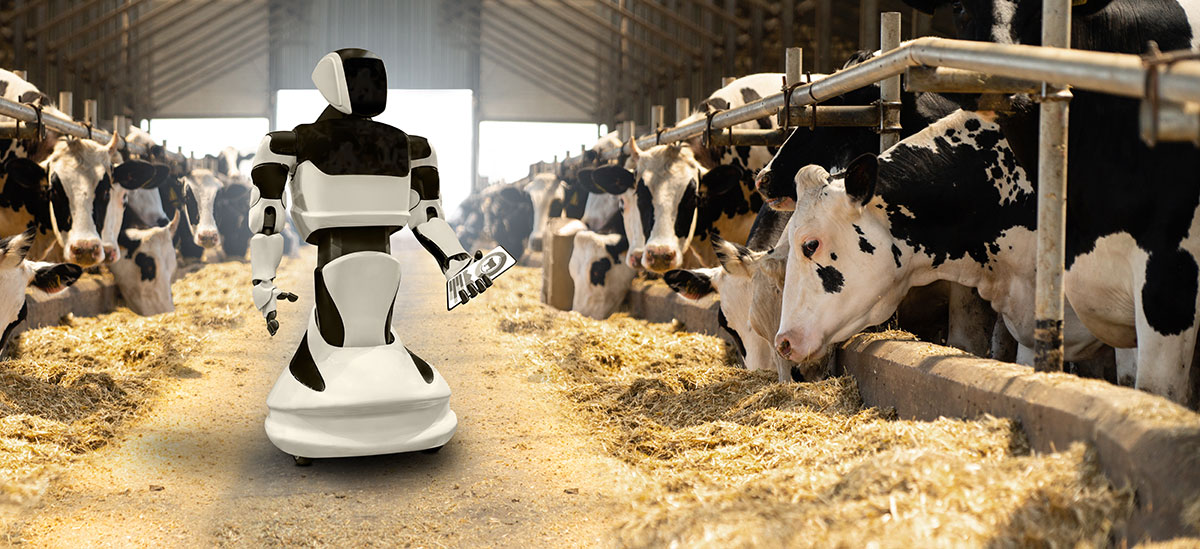 Did You Know Milking Robots are Becoming More Popular?