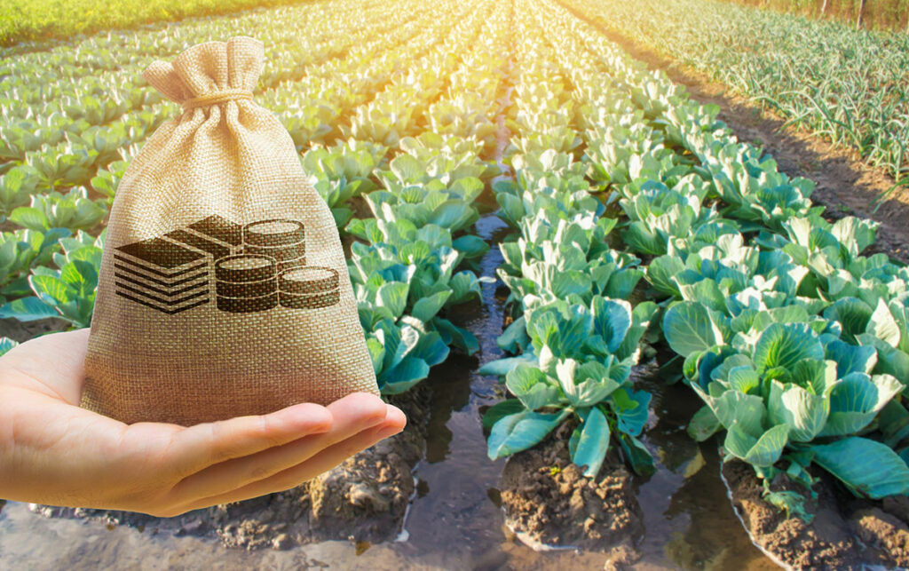 Agriculture Puts a Bloom on Economy