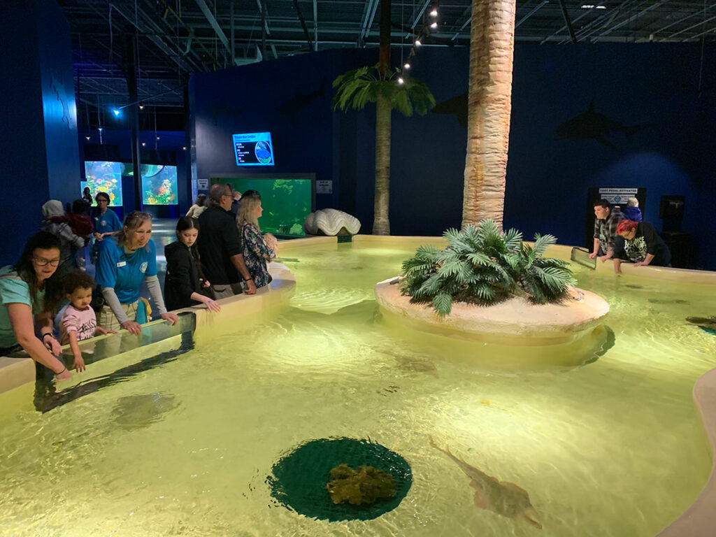 Daytona Aquarium Opens to Visitors