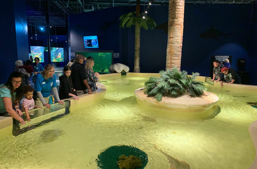  Daytona Aquarium Opens to Visitors