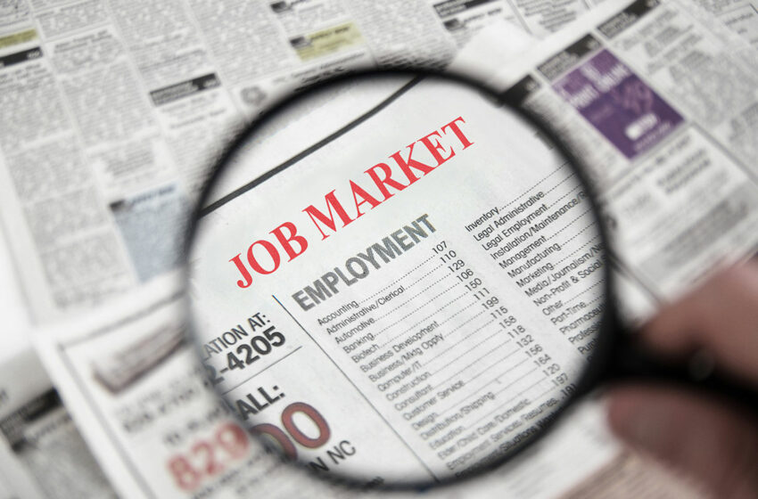  Northeast Florida Monthly Employment Report February 2024